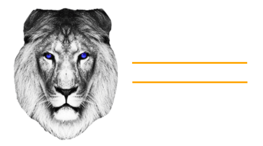 Shire Lyon Ads TM